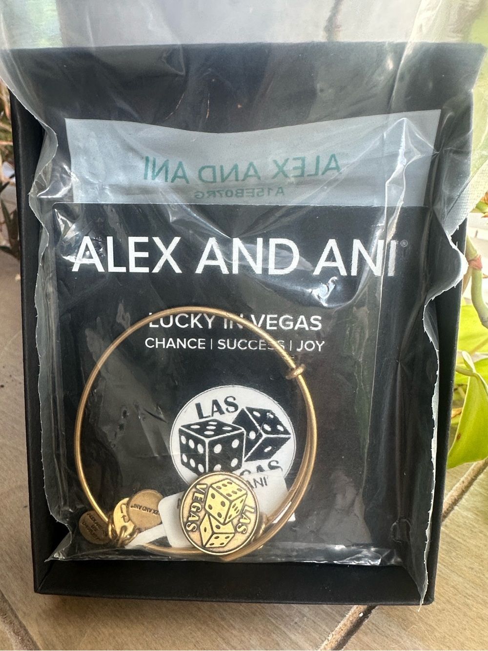 Alex & Ani Vegas Charm Bracelet NWT